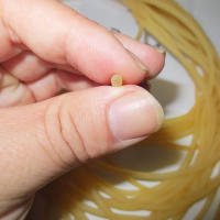 Cuerda De Pesca Elástica De Goma Sólida 10 Metros Diámetro 2.5mm Accesorio De Línea De Pesca Resistente Para Uso En Pesca - details 6