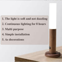 Lámpara De Pared De Madera Con Sensor De Movimiento PIR Y Luz Nocturna LED Recargable Para Armario De Cocina Y Libros Fuente De Alimentación AC - details 0