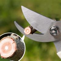 Tijeras De Podar De Acero Inoxidable Multifuncional Para Recolección De Frutas Y Jardinería Herramienta De Grafting De Flores - details 3