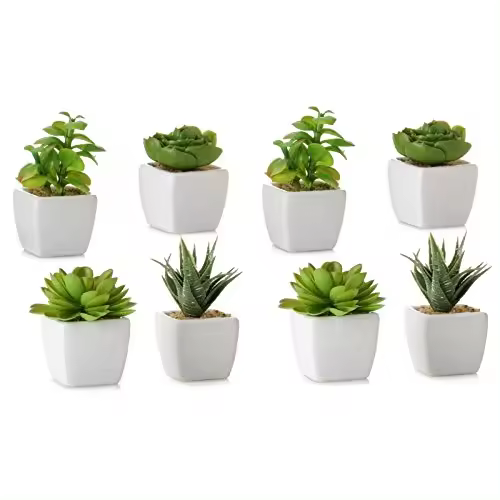Pack 8 Cactus Artificial plástico 10 cm Maceta de Porcelana-DAMDAM GO - 1