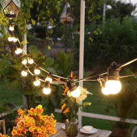 Luces De Navidad LED Impermeables G50 Para Camping Y Tent Decoración De Fiesta De Boda Adorno De Arco Iris De 23M Con Bombillas Globales - details 0