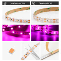 Luces De Crecimiento Para Plantas USB DC 5V Espectro Completo Lámpara Phyto En Tira De 2m 3m Para Semillas Flores Invernadero Y Plantas Hidroponicas Iluminación - details 2