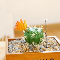 Mini Cactus Artificial Falsa Suculentas Plantas Verdes Para Decoración De Escritorio Hogar Jardín Hotel Accesorios Decorativos - details 3