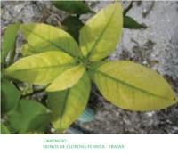 Sulfato de Hierro | 1 Kg Hogar Jardín | Agrobull® | carencias de hierro | para cesped, praderas - details 2
