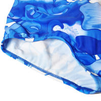 Bikini De Natación Para Hombres Short De Playa Estampado 3D De Pez Azul Ropa Deportiva Cómoda Y Sexy Traje De Baño Briefs De Natación - details 9