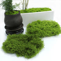 1PC DIY Hierba Artificial Verde Fresca Moss Para Jardín Terrariums Decoración De Centros De Mesa De Boda Micro Paisaje De Leno - details 10