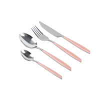 Cofan Set de 24 Cubiertos de Acero Inoxidable | Mango: Rosa | Incluye: 6 cucharas, 6 tenedores, 6 cuchillos microdentados, 6 cucharas de postre y 1 Cesta Organizadora - details 1