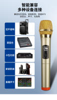 Micrófono Inalámbrico UHF 2 Canales Fijo Para Party Karaoke Profesional Iglesia Show Conferencia Handheld Micphone CHANGXI - details 19