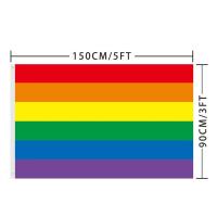 Bandera Arcoíris De Poliéster Para Exterior Grande Banderín De Fiesta LGBT Bandera Colgante De Paz (90x150cm) Para Exterior - details 0