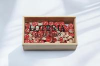 Geshop Set Fichas Bingo Lotería Divertida – Juego de Piezas Madera para Bingo Portátil con Alta Relación Calidad- Precio, ¡Diviértete y Gana! - details 3