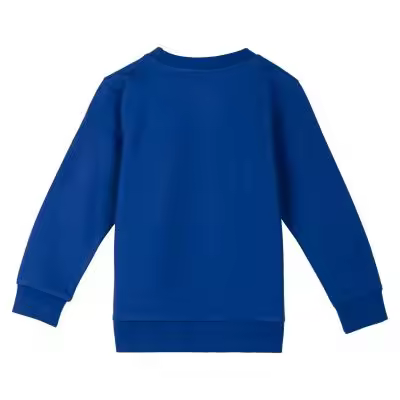 SUDADERA COTTON BRUSHED PAW PATROL - 1
