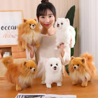 Nueva Premium Peluche Lindo Pomeranian Perro Juguetes Real Vida Muñeco De Peluche Suave Mascota Para Niñas Niños Regalo Encantador - details 6