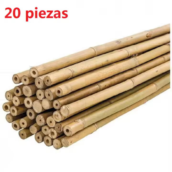 20 - 40 Unids Tutores, Palitas, Cañas de Bambú Para Plantas o Decoracion Jardin Hogar - Maxia Market - 1