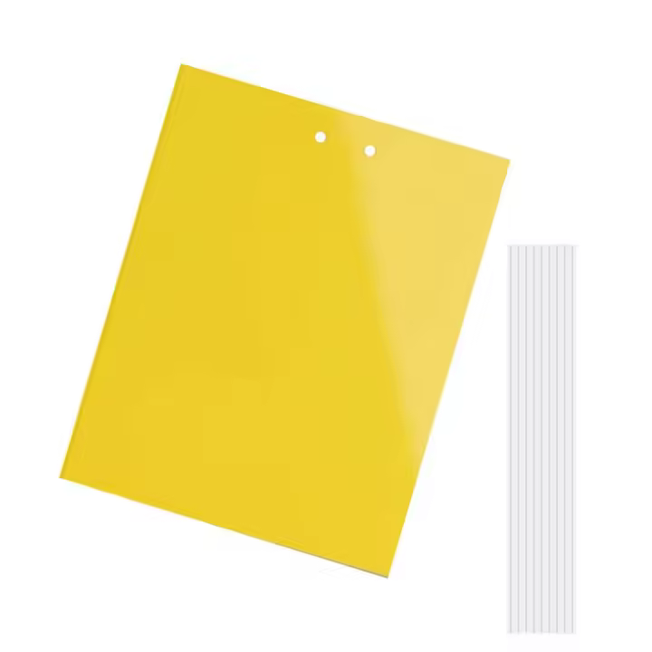 Gaps de Pegamento Amarillos para Insectos Voladores 30 Piezas Impermeables Resistentes a Alta Temperatura para Plantas y Mosquitos - 1