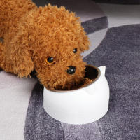 Tazón De Alimentos Para Mascotas De Acero Inoxidable Resistente Al Caídas Con Boca Oblicua Protege La Columna Vertebral Del Cuello Para Gatos Y Perros Durable Y Limpieza Fácil - details 4
