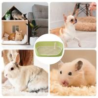 Caja De Orina Para Perros Pequeños Y Gatos Portátil Adecuado Para Entrenamiento De Inicio Tamaño 40*30*11cm Material PP - details 3