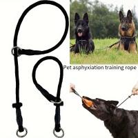 Correa De Entrenamiento Para Perros Con Collar De Deslizamiento Ajustable De Poliéster Durable Con Anillo De Ahogamiento Para Entrenamiento De Comportamiento No Asfixiante - details 1