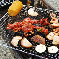 Tomshoo Mini Barbacoa De Titanio Asador De Carbón Para Camping Playa Picnic Herramientas De Cocina Equipamiento De Forno De Carbono - details 12