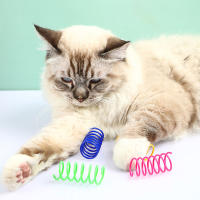 Juguetes Para Gatos 16pcs Coloridos Sprials De Plástico Duraderos Interactivos Para Gatos Y Gatitos Herramientas De Sprials Para Gatos - details 5