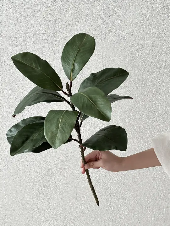  Ramas De Magnolia Artificiales Grandes Hojas De Goma Imitación Mano Hecha 50 Cm Plantas Artificiales Para Exhibición Y Decoración - 1
