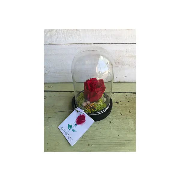 Tusplantas Cúpula de Cristal con Rosa Eterna para Regalar - Amor Eterno y Amistad - 1