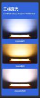 Lámpara De Inundación Solar Recargable 200W LED Portátil Para Exteriores Proyector De Luz Con Reflectivo Para Construcción - details 7