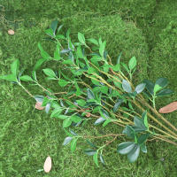 Planta Artificial De Ficus Con Ramas Largas 67/108CM Decoración Para Escenas Fotográficas Oficina Hogar Jardín Bodas - details 0