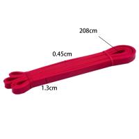 Banda De Resistencia Elástica Para Ejercicio Expander Stretch Band De Fitness Para Auxiliar En Pull up Y Entrenamiento De Pilates En Casa Gimnasio - details 9