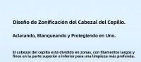 Cabezas De Cepillo De Dientes Eléctricos Mijia T501/T501C 2/4 PCS Blanco Brillante Cuidado Completo Reemplazo Para Dientes Para Adultos - details 2