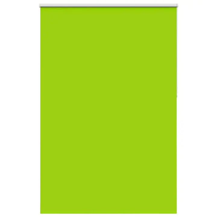 vidaXL Estor Enrollable Opaco hojas verde 150x230cm Tela Ancho 146,6cm - 1