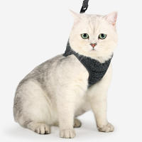 Almohadilla De Gato Para Caminar Prueba De Fuga Suave Ajustable Correa De Perro Y Collar Para Mascotas Ligero Y Resistente - details 10