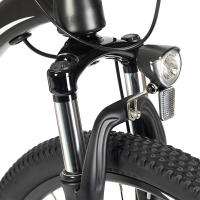 Touroll U1 Bicicleta eléctrica MTB de neumático de 29" para todo terreno con motor de 250W, batería extraíble de 36V 13Ah, alcance máximo de 65 km, engranaje de 21 velocidades Shimano, freno de disco impermeable IPX4 - details 2