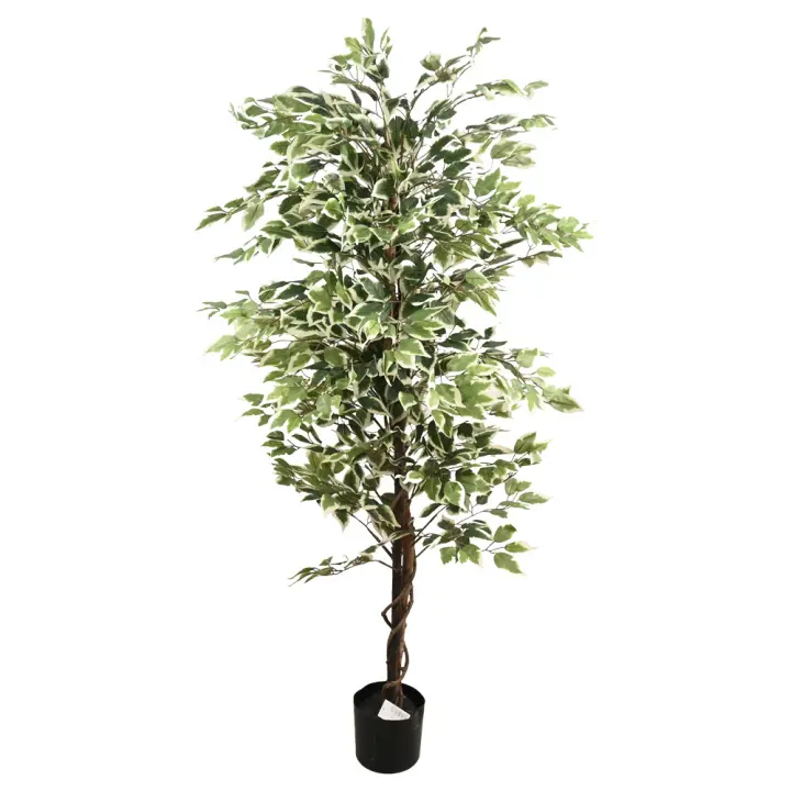 Poenia Arte Floral - Árbol Artificial Ficus en Maceta 180cm - REF 630531 - Decoración Realista - 1