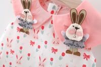 Vestido De Verano Para Bebé Niña Con Diseño De Conejito De Peluche Vestido De Princesa Sin Mangas A-LINE Para Recién Nacidos De 0 a 3 Años - details 4