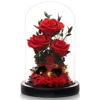 Rosa eterna real en cúpula de cristal, regalo ideal para cumpleaños, San Valentín, aniversario o Día de la Madre. - details 0