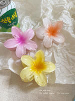 4PCS Clip Para El Cabello De Mujer Moda Con Flores Bohemia Accesorios Para El Cabello Grandes Barrettes Para Vacaciones - details 4