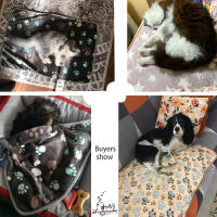 Gran Tamaño Almohadilla Para Perros De Terciopelo Coral Suave Y Gruesa Estilo De Dibujos Animados Para Gatos Y Perros Cómoda Y Caliente - details 7