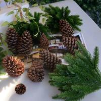 6Pcs Ramas De Pino Artificial Para Decoración De Navidad Árbol De Navidad Adornos Decoración De Mesa Sala De Estar Plantas Falsas Para El Hogar - details 1