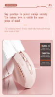 Ratón Inalámbrico INPHIC F8 Para Niñas Con Recarga USB Ergonómico Y Luz Sonido Comodidad 2.4G Portátil Ajuste DPI - details 4