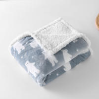 Manta Para Bebé Recién Nacido Invierno Doble Capa Gruesa Suave Manta De Envolver Para Cuna Y Carrito De Compras Estilo Dibujos Animados - details 4