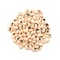 3 BOLSITAS DE FREJOL CASTILLA 500G. ALTA CALIDAD DE PERU - details 2