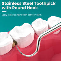 Juego De Herramientas Dentales Portátiles De Acero Inoxidable 304 Agujas Para Palillos Y Limpieza Dental Uso Individual - details 4