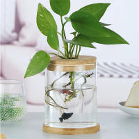 Bote De Vidrio Para Escritorio Ecológico Micro Paisaje Con Contenedor Hidroponía Y Acuario Para Plantas Verdes Y Peces Con Tapa De Madera Verde Diente De León - details 10