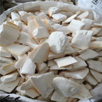Juguetes Para Morder De Caliza De Cutícula Natural Alimento Para Pájaros Juguete De Moler Para Pericos Cacatúa Macaco - details 2