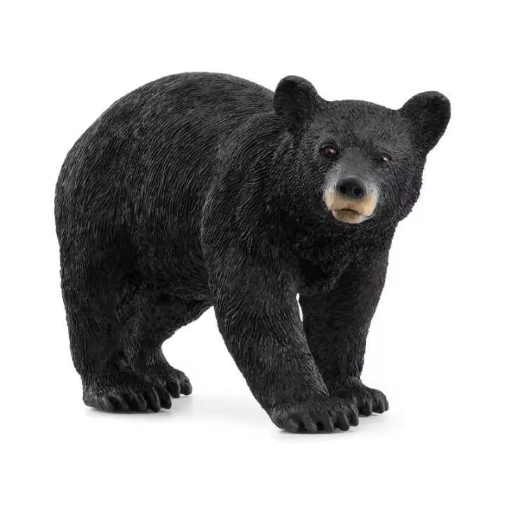 Schleich Oso Negro Americano - 1