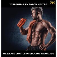 King Nutrition Creatina Monohidratada 100% Pura 500gr 66 Tomas  Creatina en polvo, Micronizada 200Mesh Sin Sabor, No-GMO  Vegano  Sin lactosa, Incluye dosificador - details 0