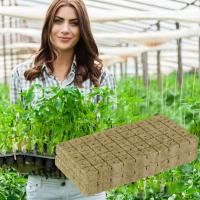 Cubes De Medio De Cultivo De Piedra Ponceada 100/50x Para Cultivo Hidroponico De Semillas Y Plantas Jardín Bloque De Semillero Cultivo Por Inmersión - details 5