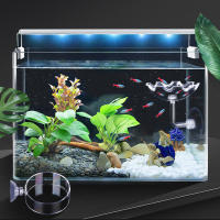 Tanque De Acuario Transparente Alimentador De Peces Y Camarones Círculo De Alimento De Vidrio Fleeting Para Sujeción En La Base - details 32