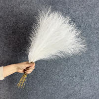 10PCS Ramas De Pampas Blancas Artificiales De 54-55CM Majestuosas Para Decoración De Bodas Hogar Y Bohemia Relleno De Vaso De Piso - details 5
