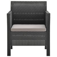 vidaXL Set de muebles jardín 2 piezas con cojín PP ratán gris antracita - details 3